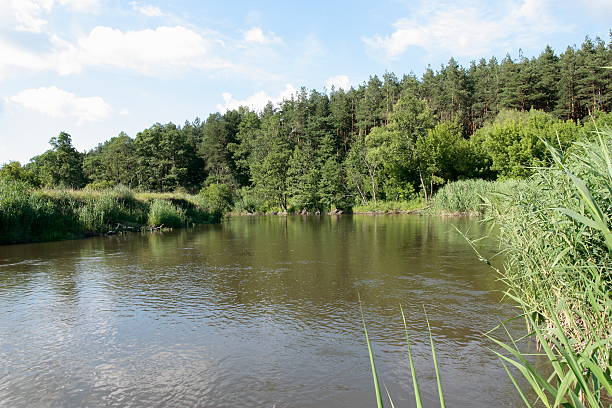 Picturesque view of the river in summer . stock photo