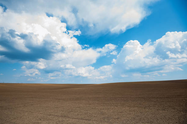 istock Empty brown soil of field and blue sky for natural background 1216259838