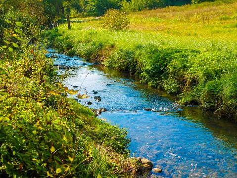 Wild garlic, trees and stream in a tranquil meadow, Yorkshire Dales, UK