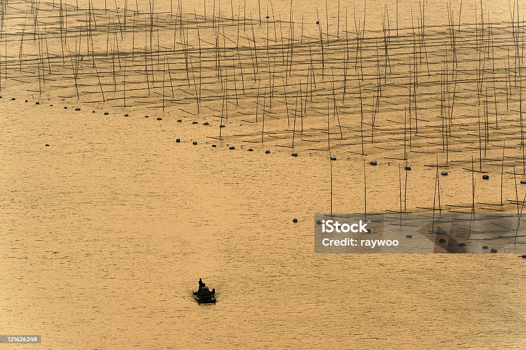 Лодка рядом с водорослями фе�рма - Стоковые фото Без людей роялти-фри