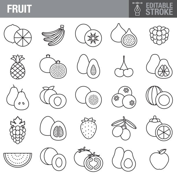 набор фруктовых редактируемых значков stroke - apple fruit vector line art stock illustrations