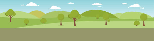 miejski letni park z zielonymi drzewami ławka, chodnik i latarnia, natural backround, promenada, park, miejsce na piknik. - bush bird tree wood stock illustrations