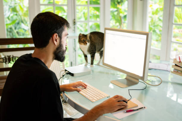 istock Man working in his home office, using computer in the desk with a cat around him 1216268190