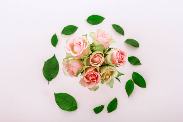 istock Bouquet of pink roses 1216268684
