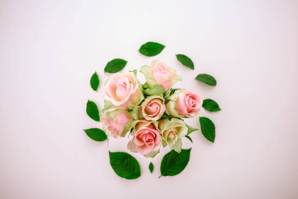 istock Bouquet of pink roses 1216268686