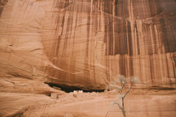 istock Navajo Sandstone Texture 1216270024