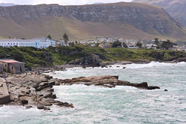 istock Beautiful, scenic Coastline at Hermanus 1216270116
