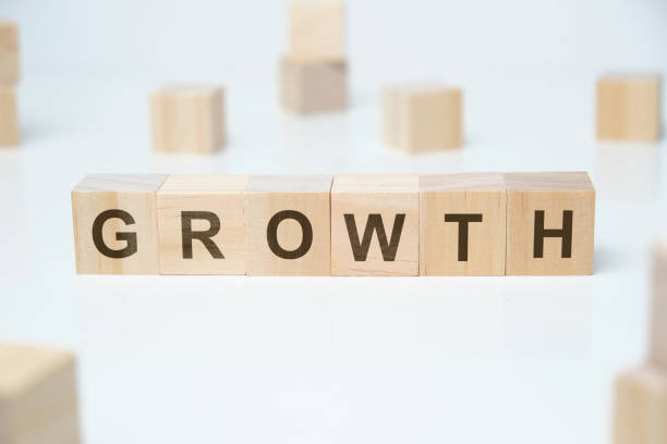 istock Wooden blocks on a white background with the inscription - growth. 1216273448