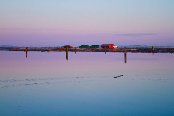 istock Purple water with barges. 1216273760