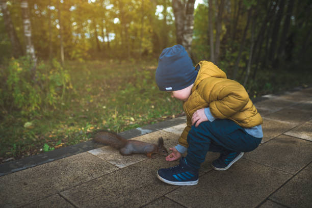 istock Little boy feeds a squirrel in the forest 1216274508