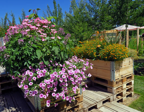 Herbs, vegetables and flower garden