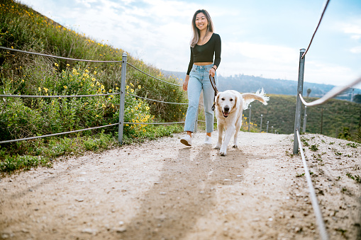 A happy Korean woman enjoys spending time with her Golden Retriever outdoors in a Los Angeles county park in California on a sunny day.  Relaxation exercise and pet fun at its best.