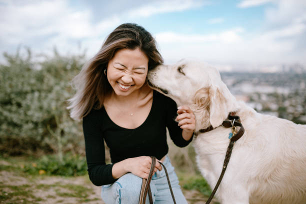 犬を抱きしめる若い女性の肖像 - pets stroking licking love ストックフォトと画像