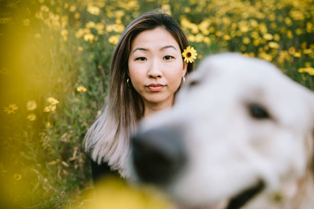 Young Woman Portrait With Dog Photobomb A happy Korean woman enjoys spending time with her Golden Retriever outdoors in a Los Angeles county park in California on a sunny day.  She looks at the camera for a portrait, her pup photobombing the picture. photo bomb stock pictures, royalty-free photos & images