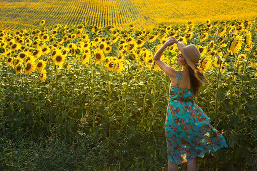 A happy, beautiful young girl in a straw hat is standing in a large field of sunflowers. Summer time. Back view.