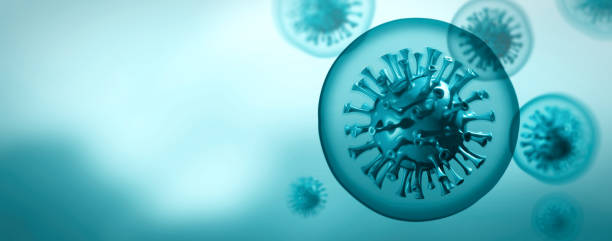 istock Coronavirus 3D render, COVID-19 pandemic 1216278296