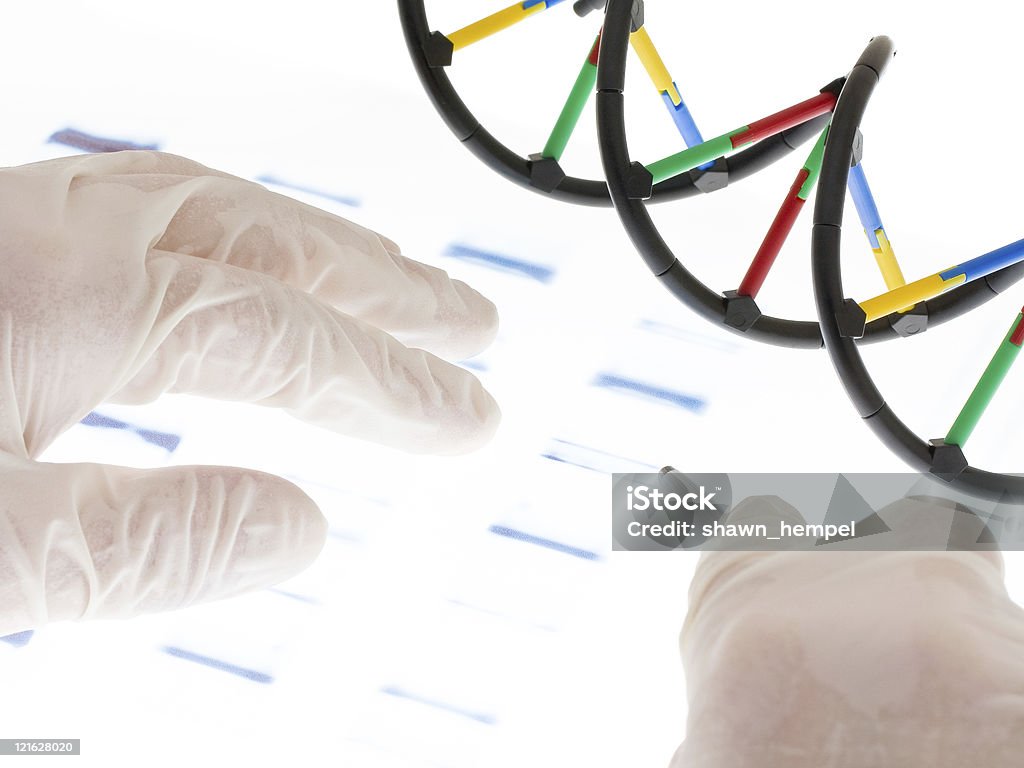 Examing DNA 투명성 - 로열티 프리 DNA 스톡 사진