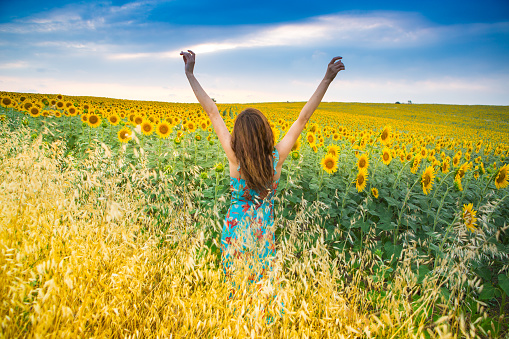 A happy, beautiful young girl in a straw hat is standing in a large field of sunflowers. Summer time. Back view.