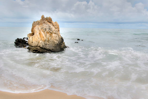 istock rock by the sea in northeastern Brazil 1216280618
