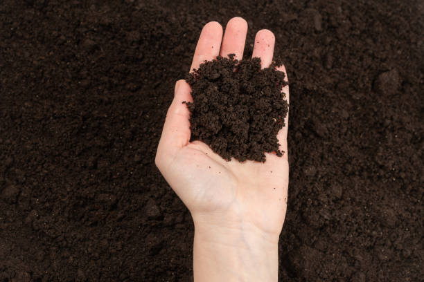 istock Woman hand holding ground. 1216281708