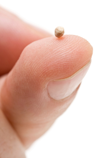 Mustard seed on fingertip - symbol of faith