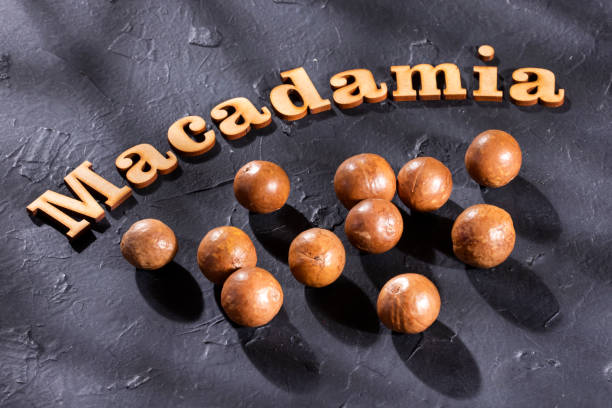 istock Macadamia integrifolia - Phrase macadamia in wood letters 1216287148