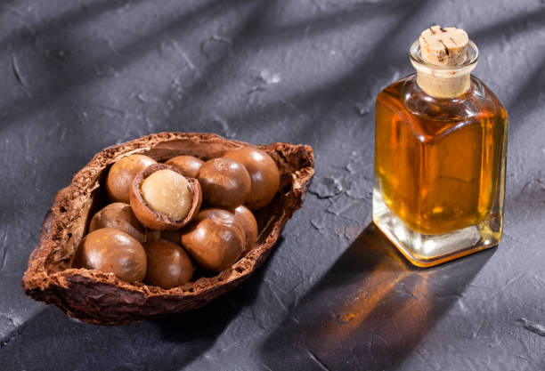 istock Macadamia nuts and oil - Macadamia integrifolia 1216287200