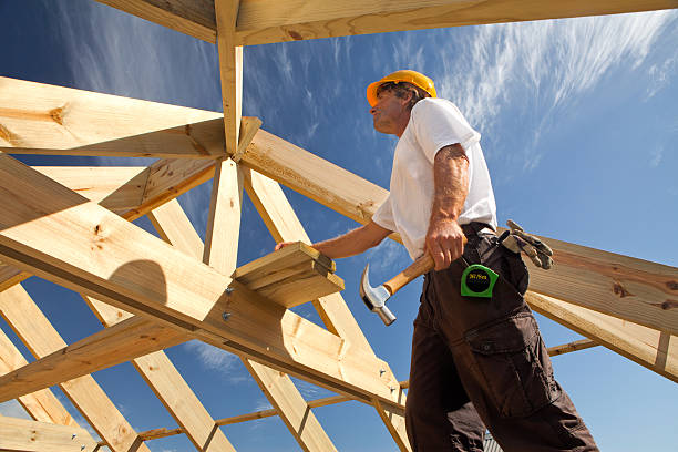 trabalhador - carpenter construction residential structure construction worker imagens e fotografias de stock
