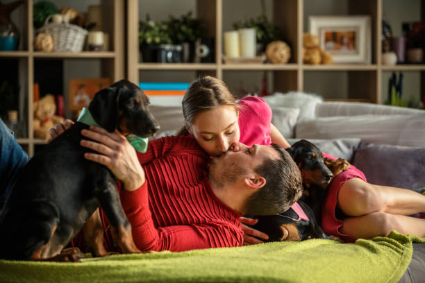 istock Cuddles and kisses while relaxing with their doberman puppies 1216291123
