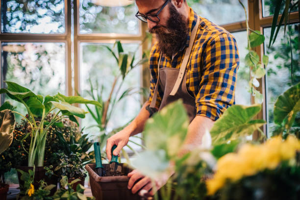 istock Gardener in a greenhouse 1216291189