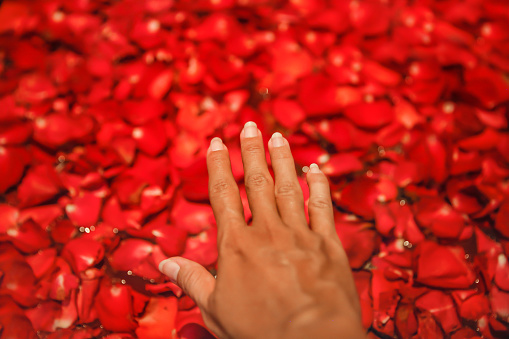 Close up shot females hand reaching to touch rose petals above bathtub in luxury spa