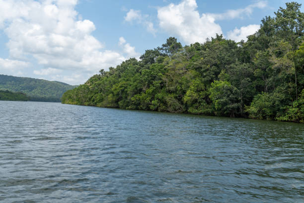 istock Daintree River tour in Queensland, Australia 1216295978