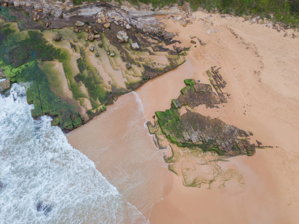 istock Mossy rock on the coast 1216301262