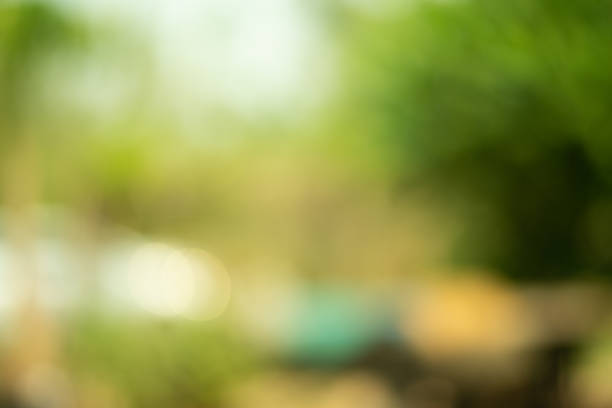 istock Abstract green nature cute background. 1216302955
