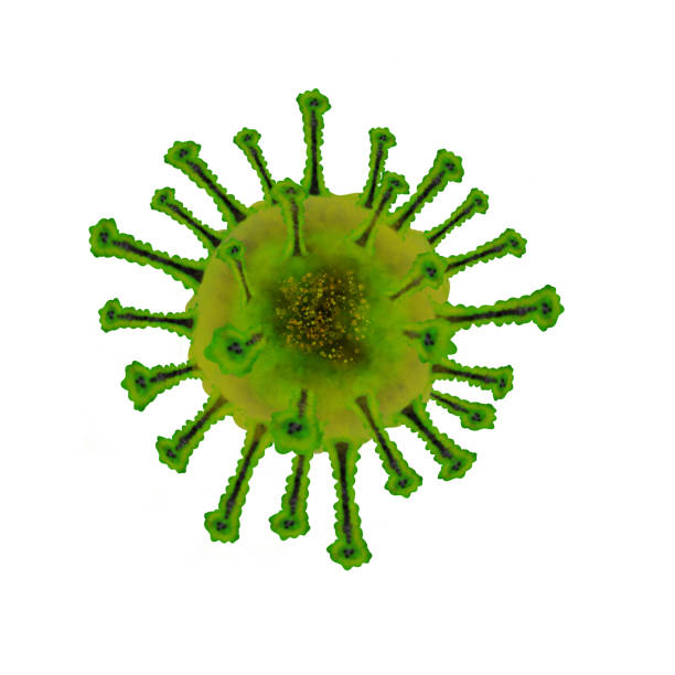 istock Bacteria. Serious germs And dangerous to people 1216307084