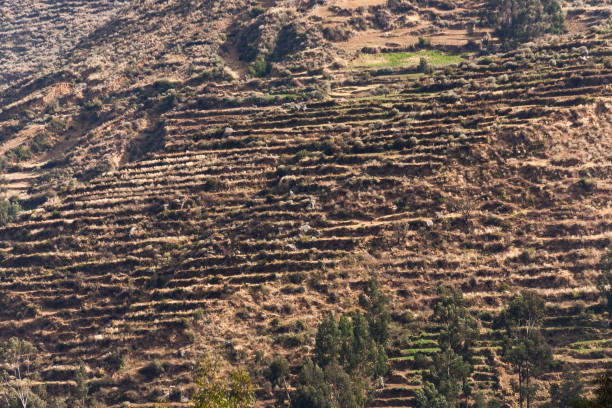 Andean agricultural terraces from the Pre-Incan age in Huancaya town, Lima Region, Peru