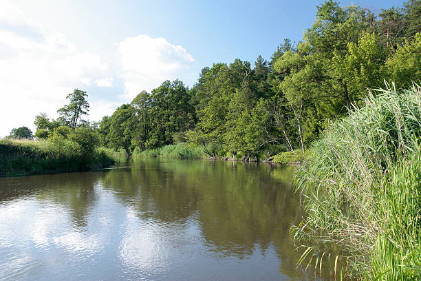 The picturesque river current . stock photo