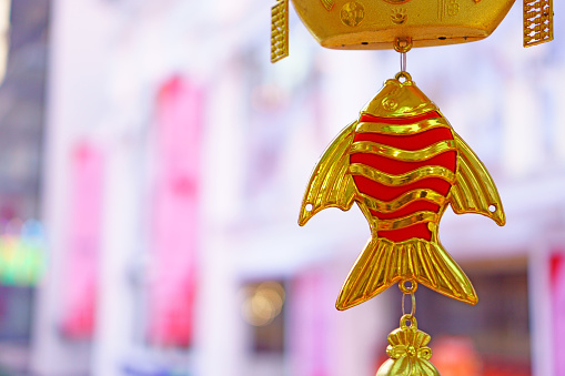 Golden fish hanging is a symbolic of prosperity use for celebrate Chinese new year