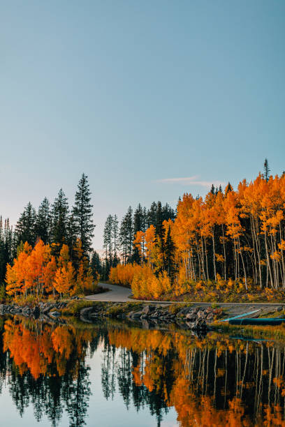 Sunset Shot of a Reflective Lake In the Fall Autumn Colors in the Grand Mesa National Forest In Beautiful Western Colorado Sunset Shot of a Reflective Lake In the Fall Autumn Colors in the Grand Mesa National Forest In Beautiful Western Colorado mesa photos stock pictures, royalty-free photos & images