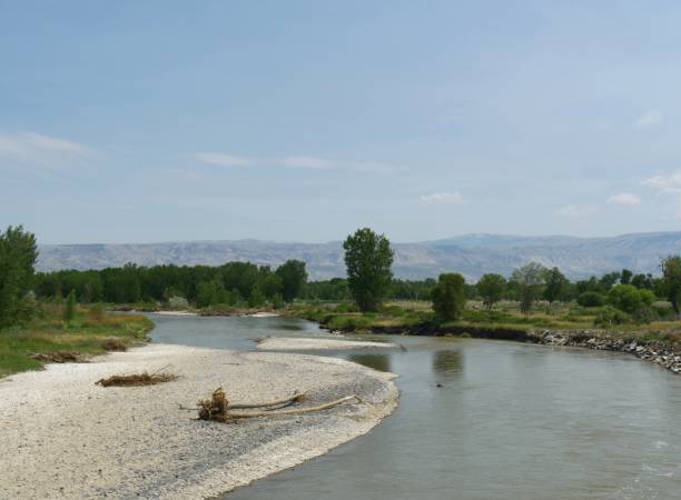 istock Shoshone River flowing adjacent to the North Fork Highway in Wyoming. 1216314953