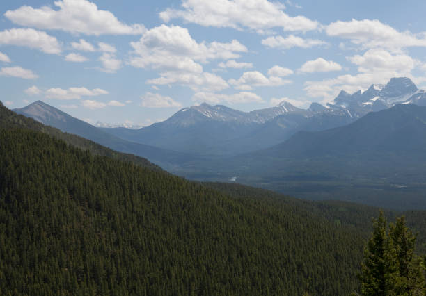 istock Enfless forest, valley and snow capped mountains 121631582