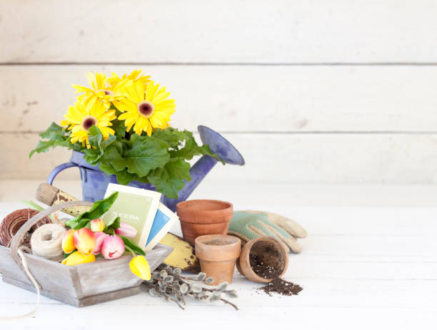 istock Garden Tools and Flowers 1216316854