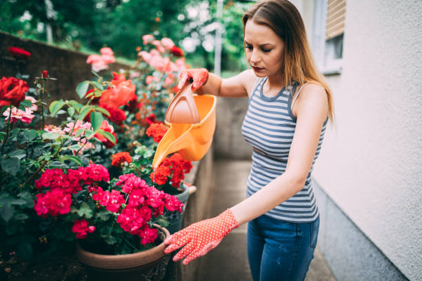 istock Woman watering plants in the home backyard 1216317866