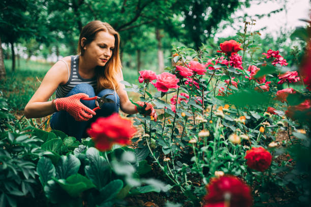 istock Young woman gardening in the backyard on a spring day 1216317876