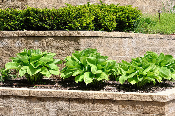 rangées de mur de retenue des eaux - landscaped retaining wall wall stone photos et images de collection