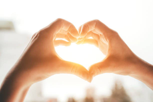 manos femeninas en forma de corazón. - generosidad fotografías e imágenes de stock