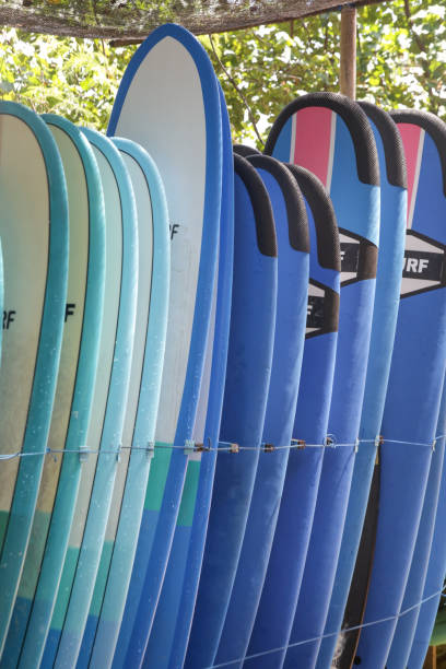 istock Sufrboards for rental on the beach. Surf camp. 1216327143