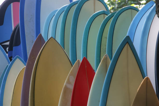 istock Sufrboards for rental on the beach. Surf camp. 1216327248