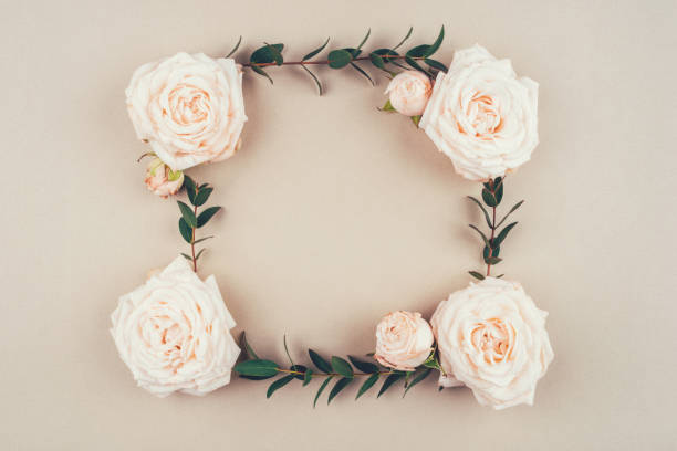 istock Frame of rose flowers and eucalyptus branches on a beige background. 1216328126