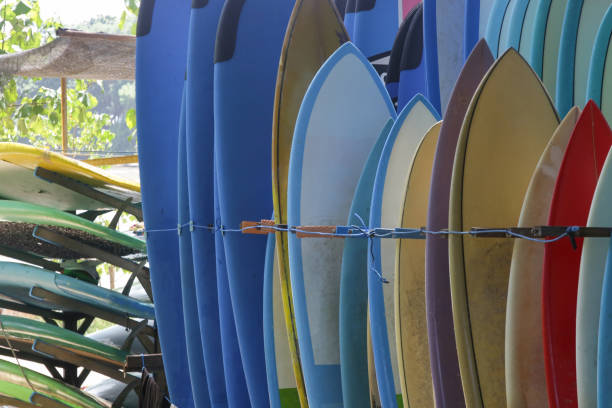 istock Sufrboards for rental on the beach. Surf camp. 1216328454